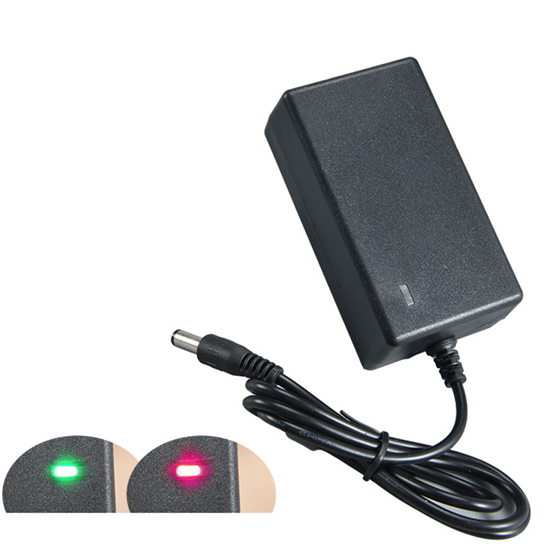 Charger For Lithium Ion 21V 2A - Pole Saw Cordless recensione e prezzo