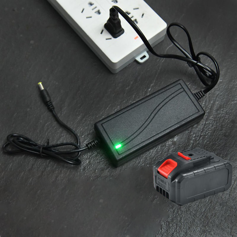 Charger For Lithium Ion 21V 2A - Pole Saw Cordless recensione e prezzo