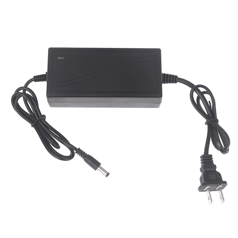 Charger For Lithium Ion 21V 2A - Pole Saw Cordless recensione e prezzo
