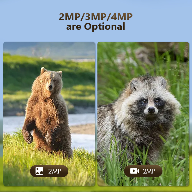 4G 4MP Outdoor Wildlife Huntin - Panel Power Outdoor recensione e prezzo